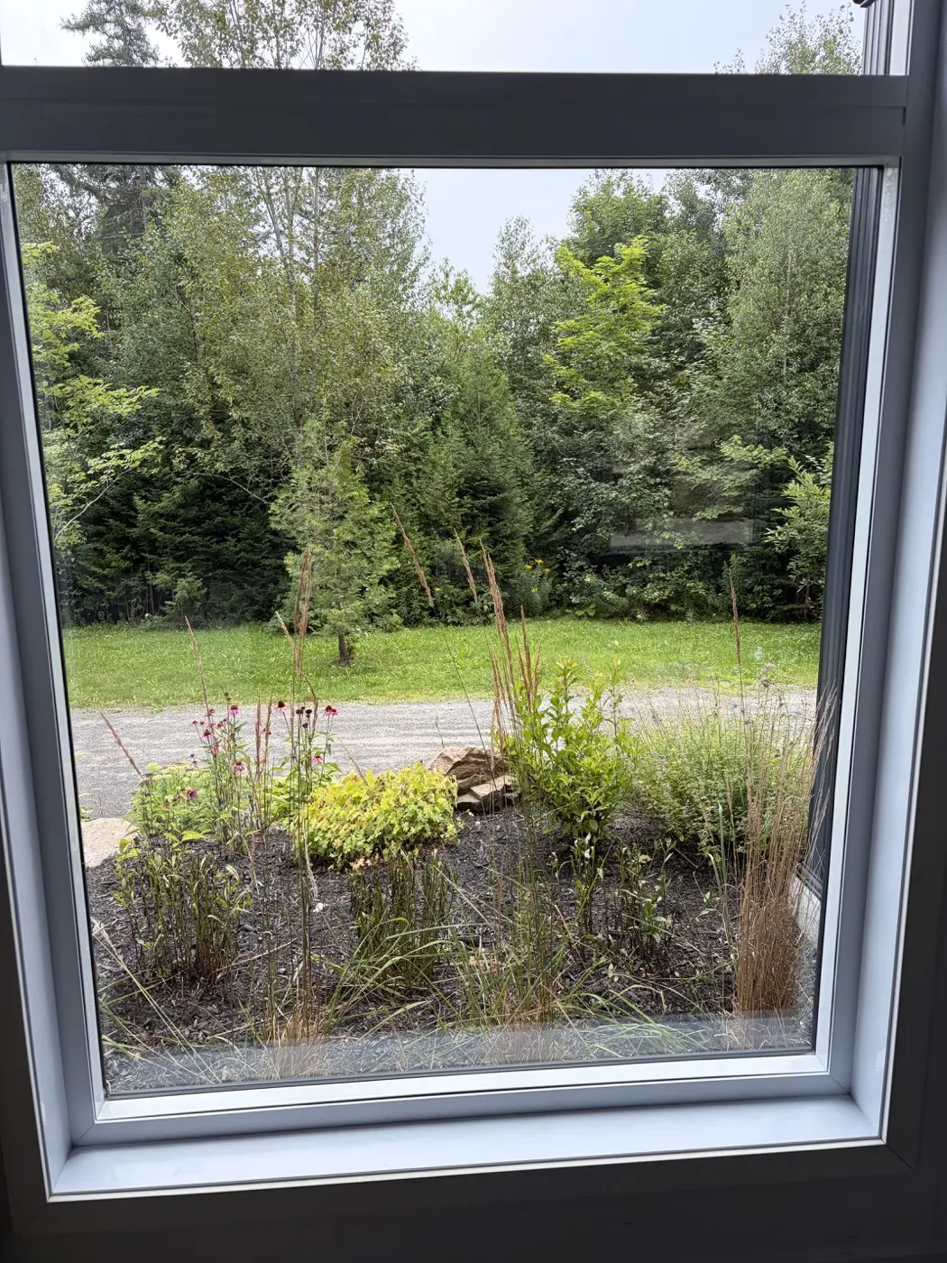 Vue claire à travers une vitre après le nettoyage